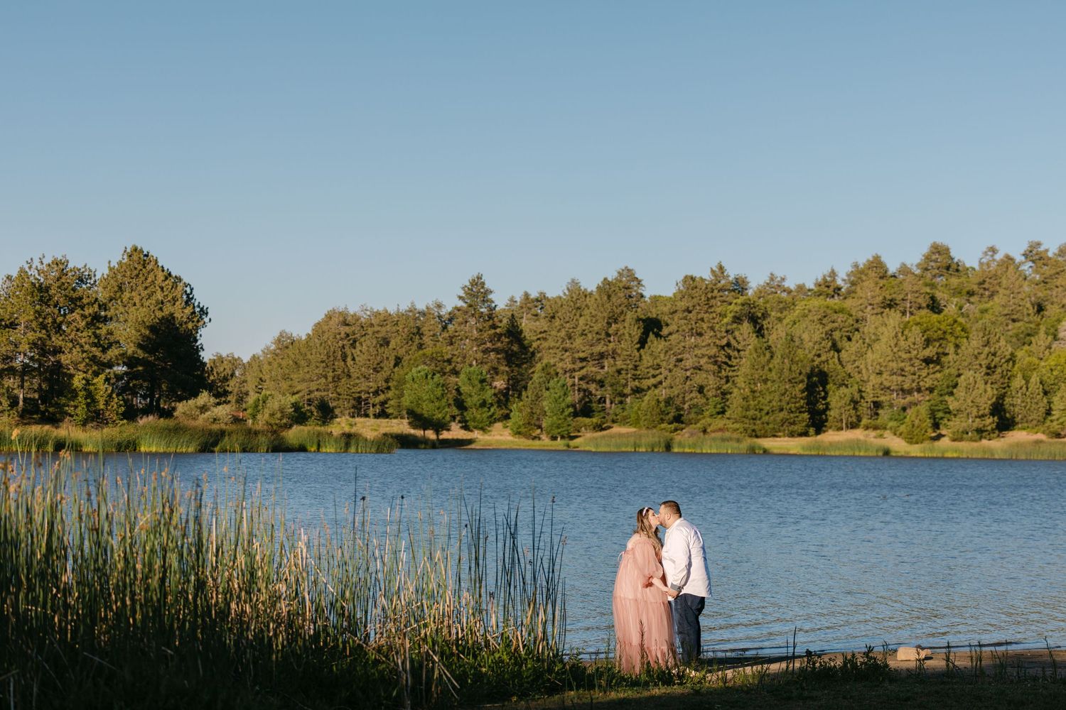 A panoramic view of a serene lakeside landscape with pine trees reflecting on calm waters during sunset.