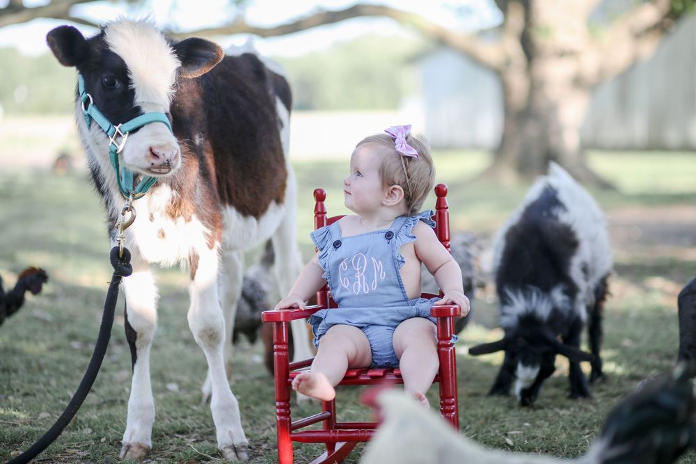 Farm session. First birthday. Photography.
