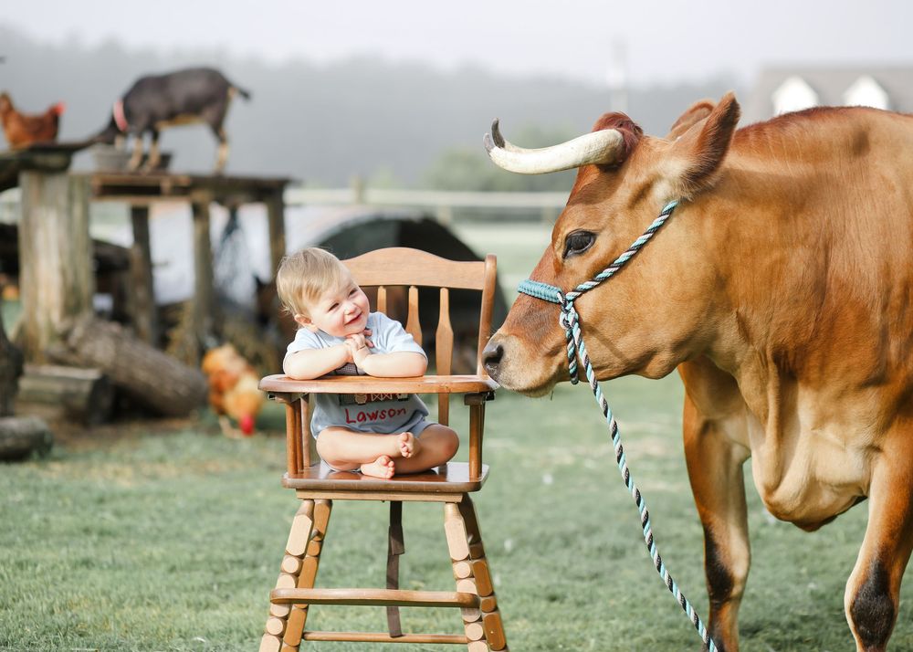 First birthday session. Farm session. North Carolina.