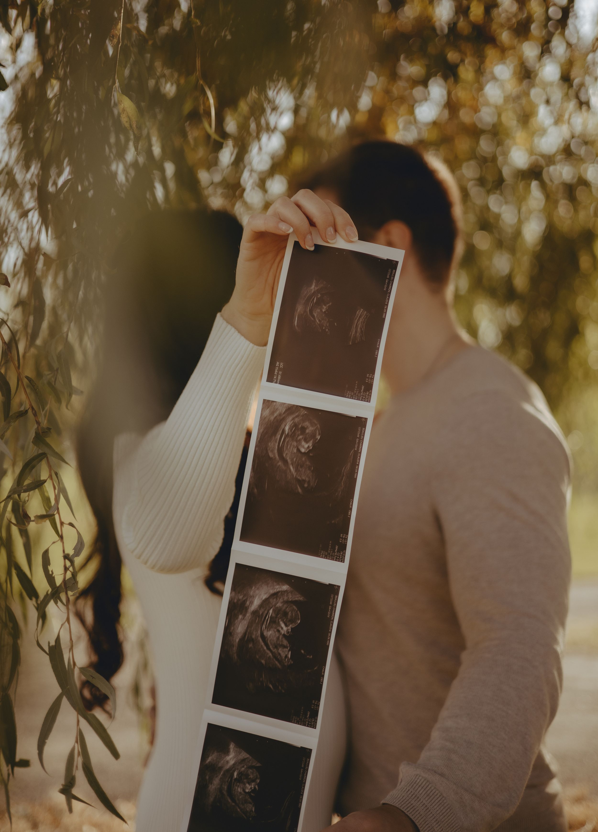 Couple holds ultrasound photos during outdoor maternity session under willow trees.