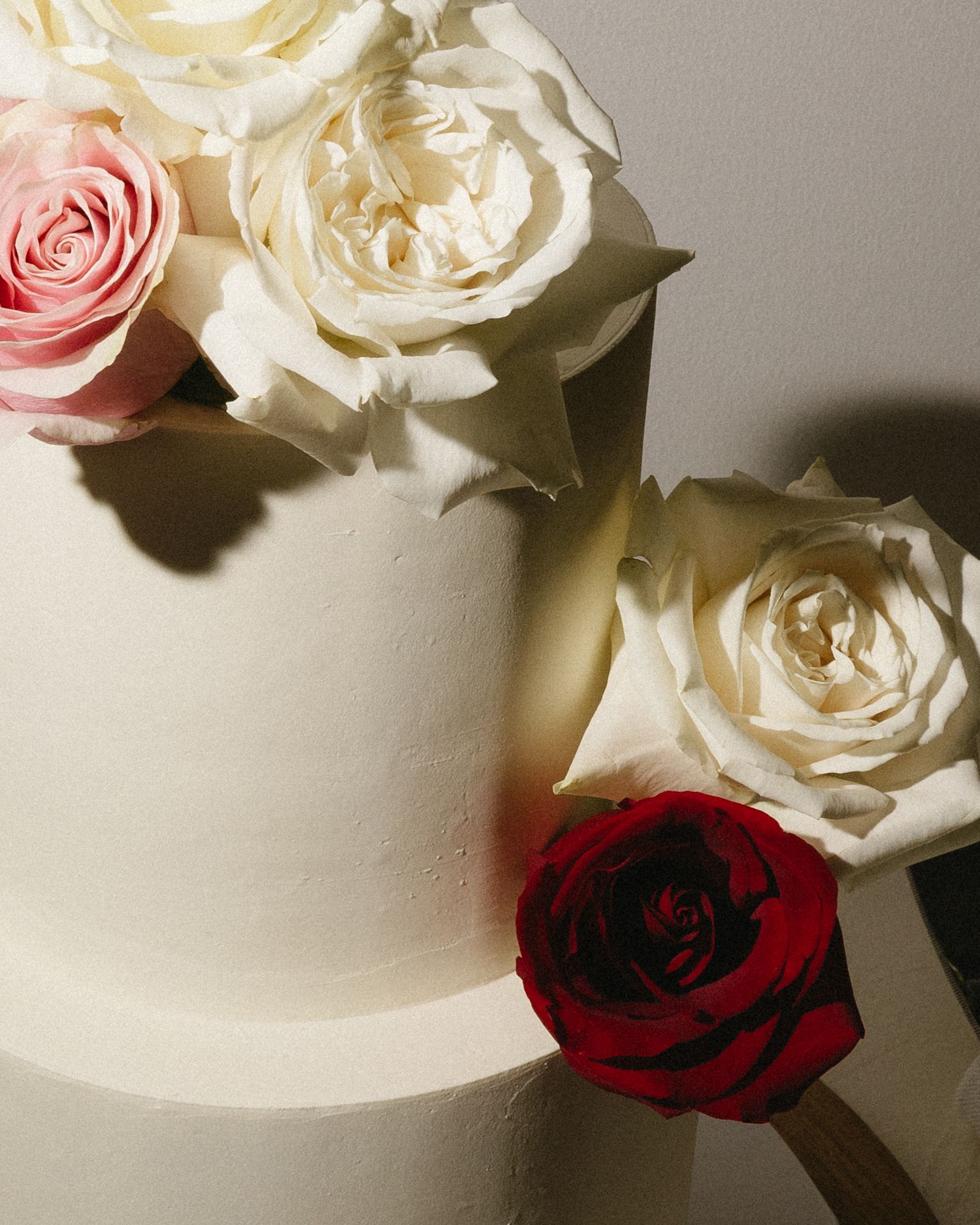 White and pink roses cast elegant shadows against a light wall creating a romantic composition.