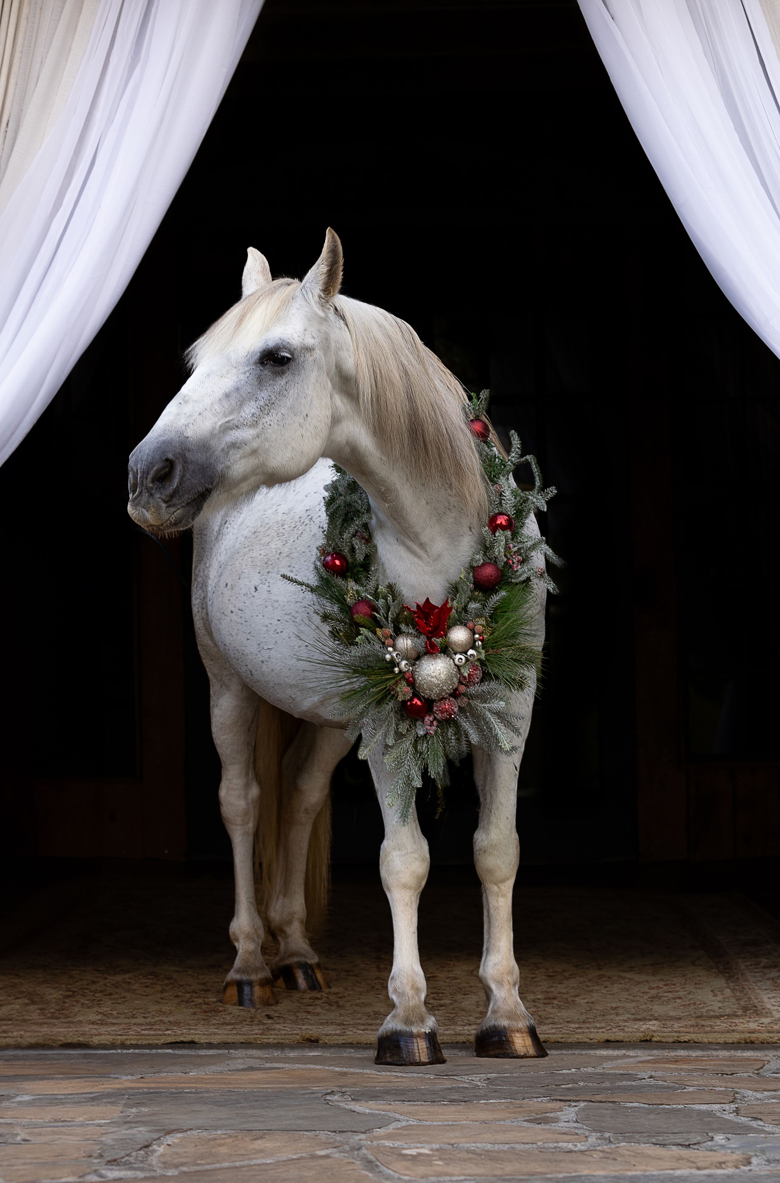 A white horse decorated with a Christmas wreath stands between white curtains on stone flooring.
