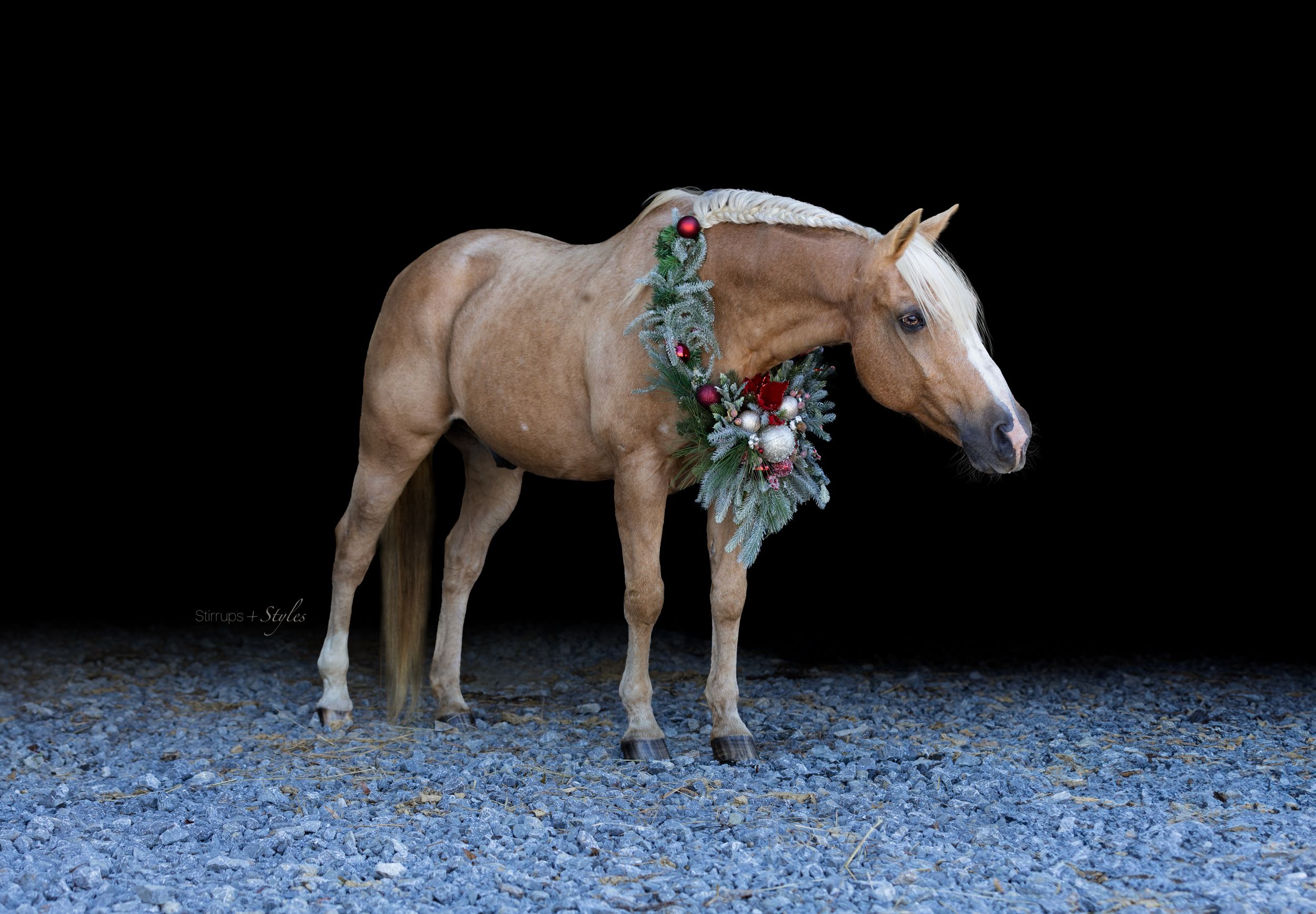 A palomino horse decorated with a holiday wreath stands on gravel ground.
