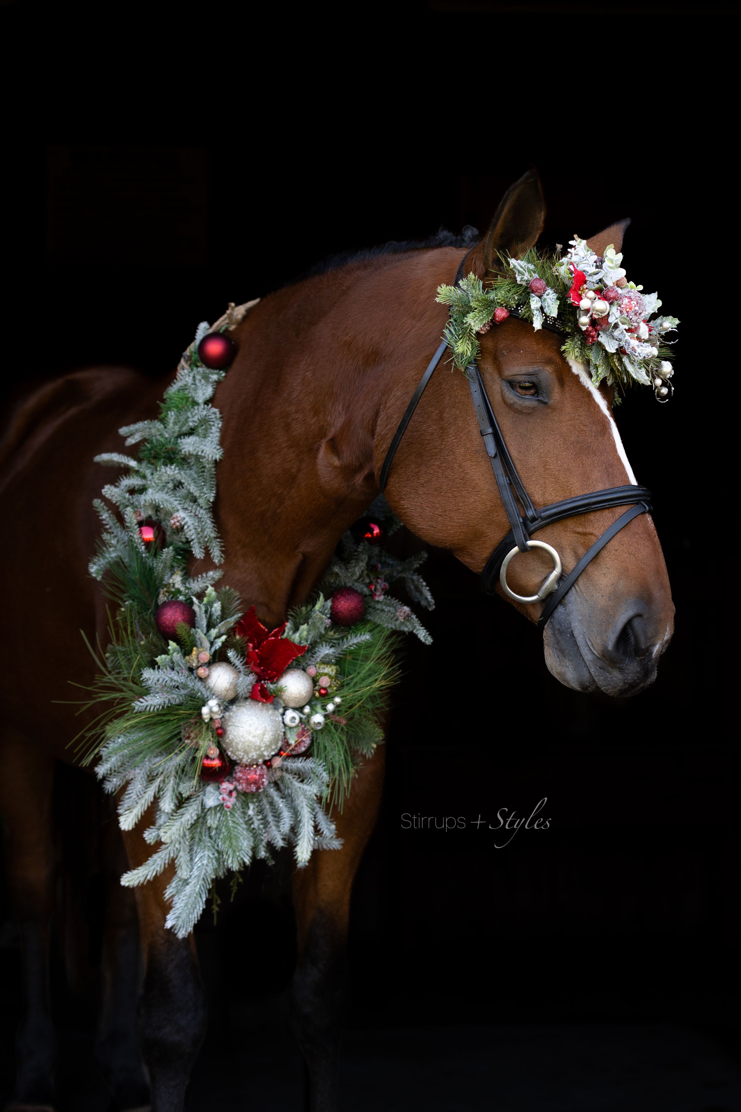 A bay horse wearing an ornate Christmas wreath with red ornaments and white flowers against dark background.