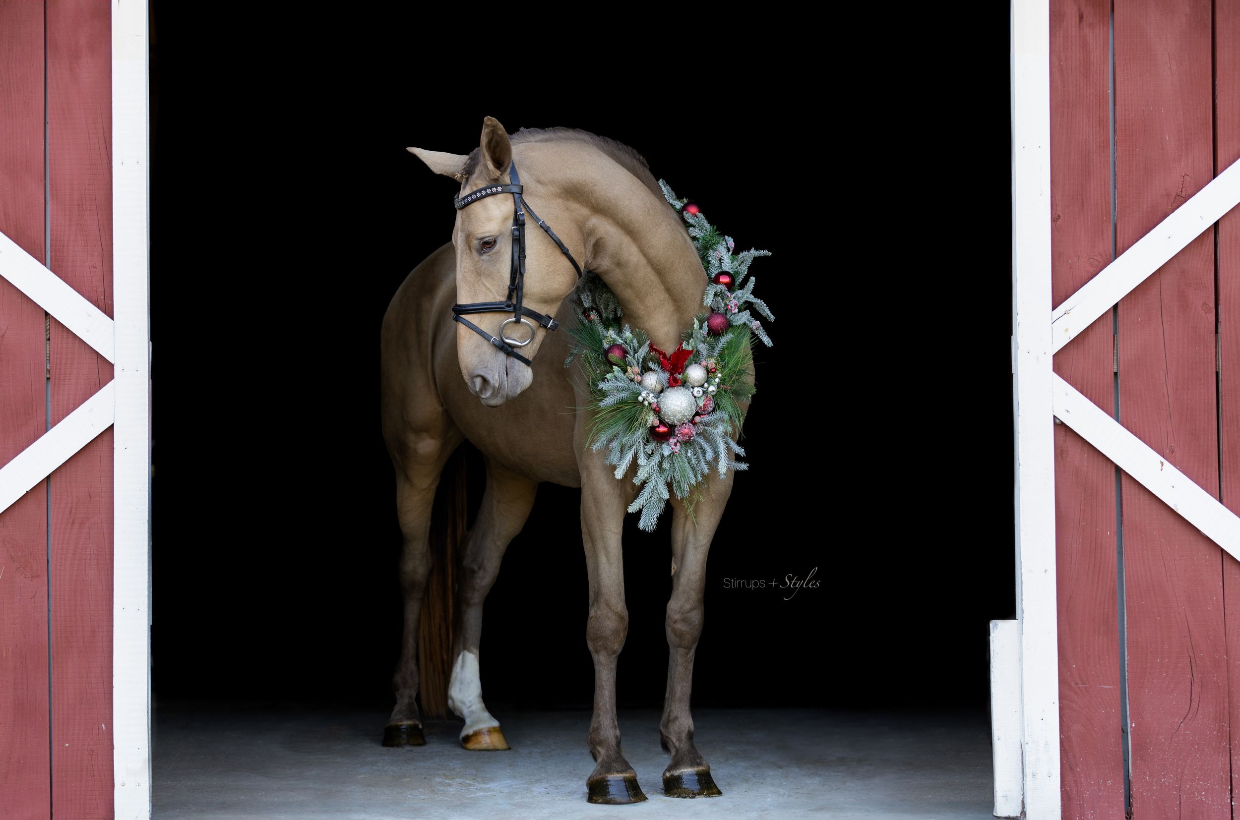 A tan horse adorned with a festive wreath stands in a barn doorway framed by red walls.
