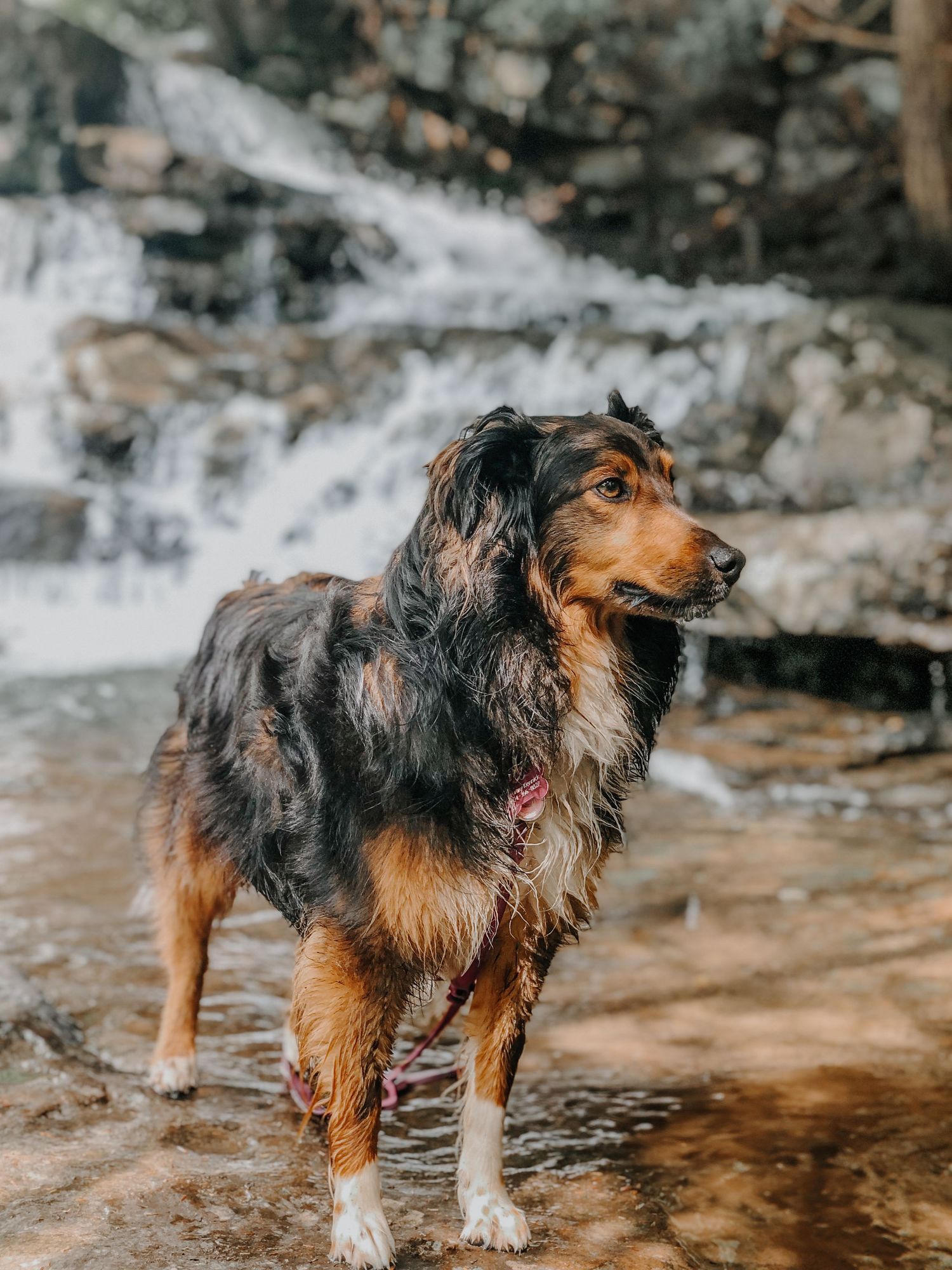 Hiking