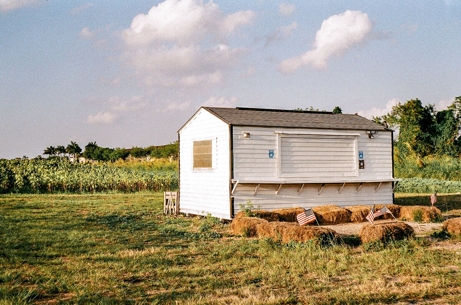 Small white chicken coop sits in grassy field with cornfield in background.
