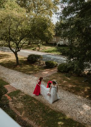 A series of outdoor garden path photos showing gravel walkways winding through trees and landscaping in natural light.