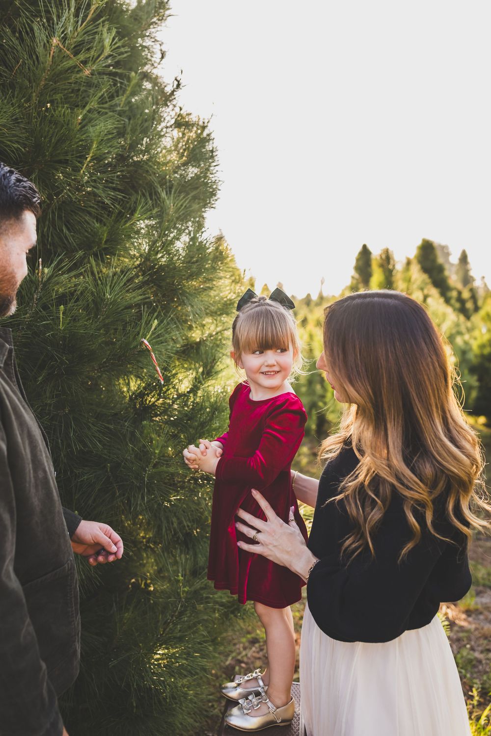Family shares tender moments together among evergreen trees during golden hour outdoor photo session.