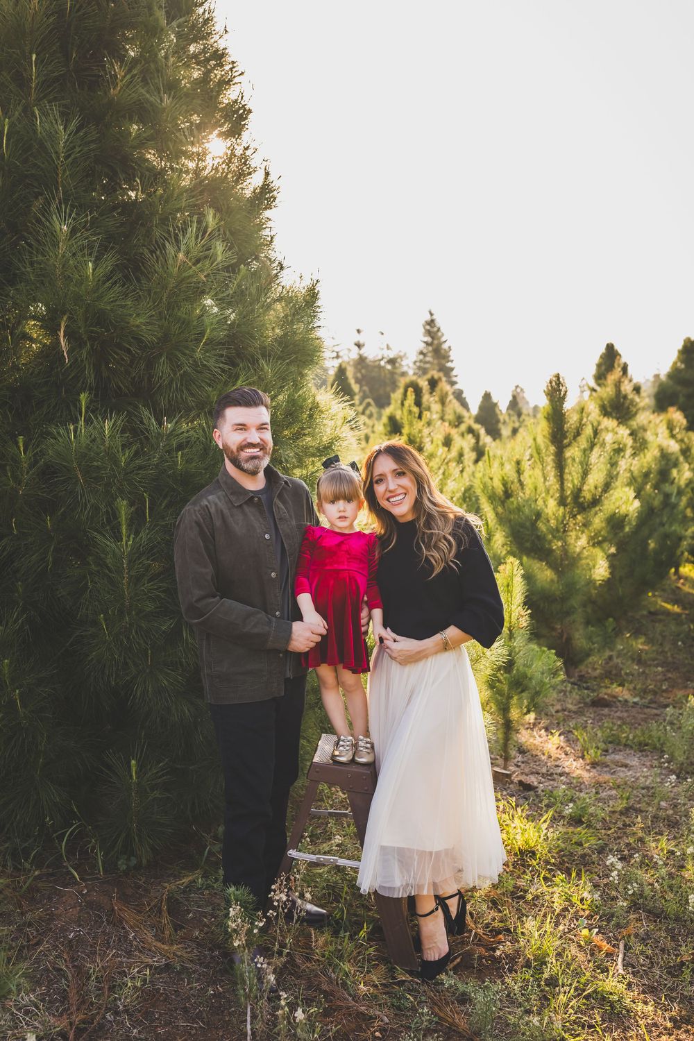 Family poses together at sunset among evergreen trees at a Christmas tree farm during golden hour.