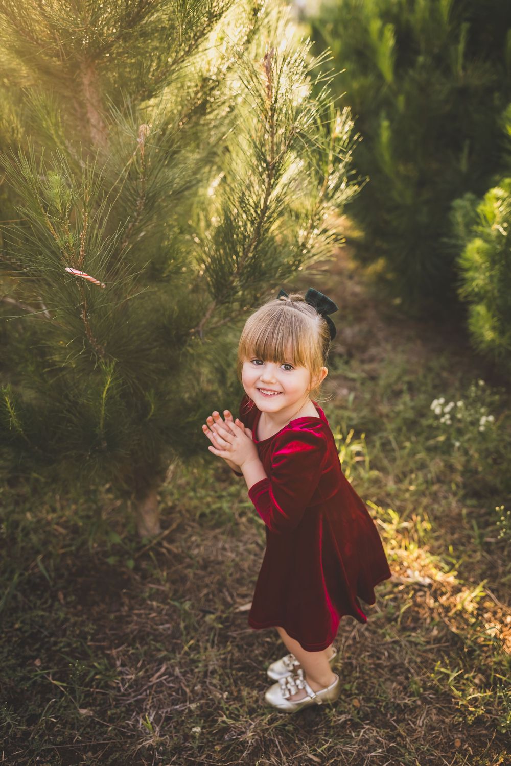 A small child in a red velvet dress and sneakers plays among evergreen trees in golden sunlight.