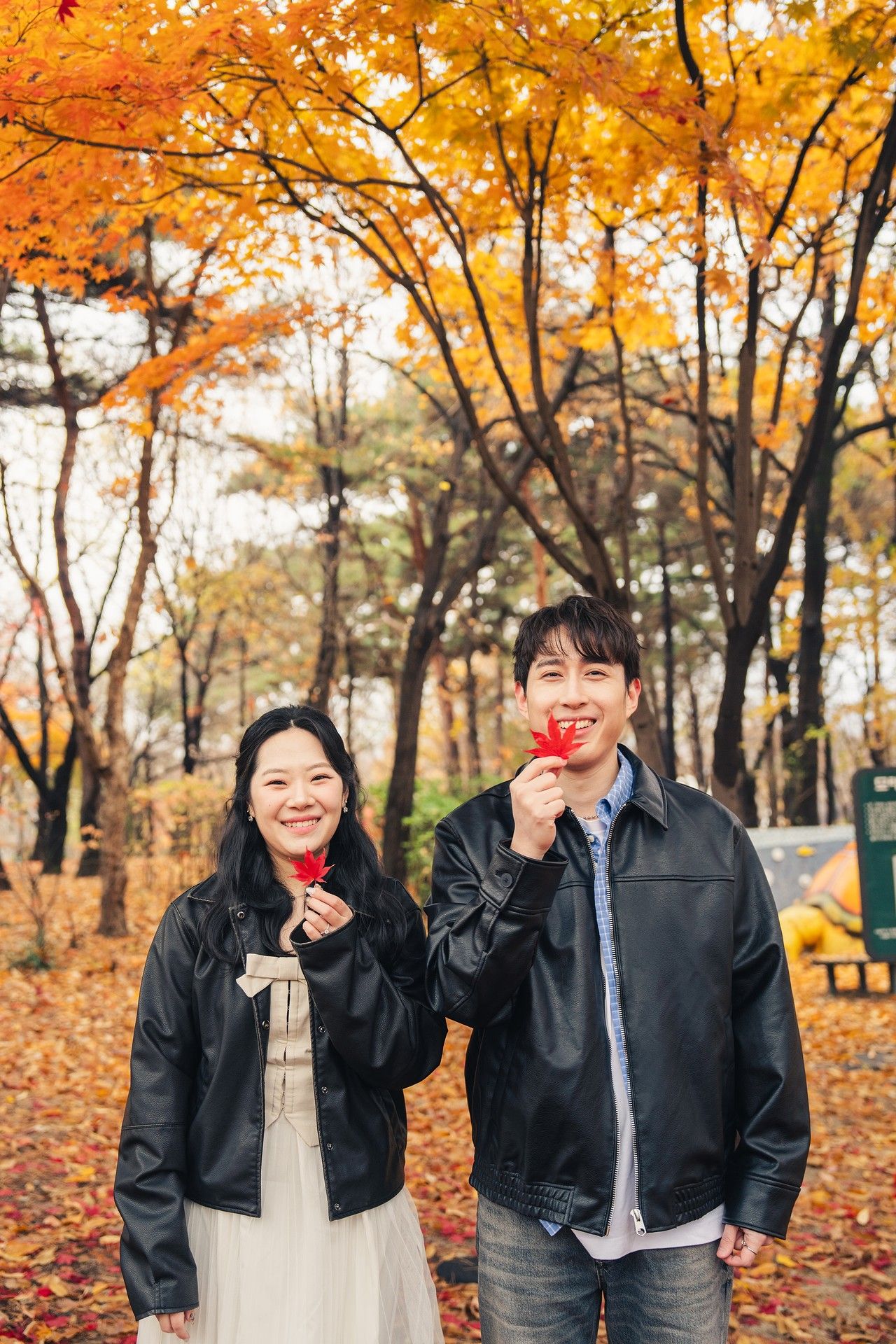 Two people in black jackets hold red maple leaves while standing under vibrant autumn foliage in a park.