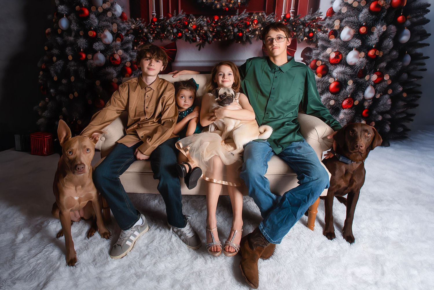Family holiday portrait with four brown dogs sitting on a couch decorated with red and silver Christmas ornaments.