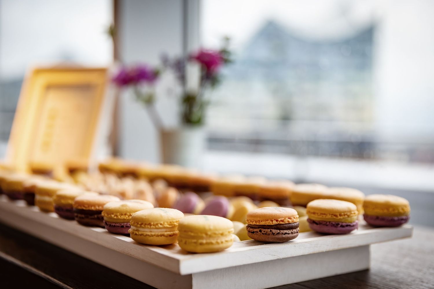 Row of delicate macarons displayed on a white surface near a window.