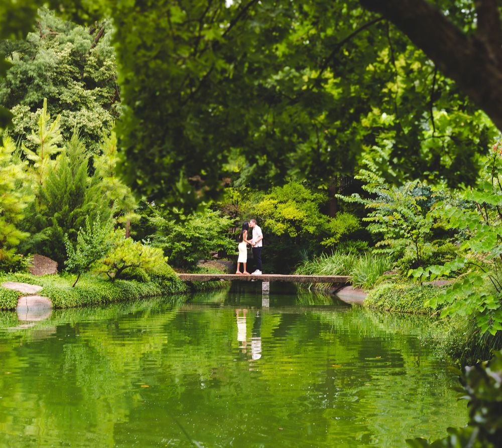 A serene pond surrounded by lush green foliage reflects the summer landscape in a tranquil garden setting.