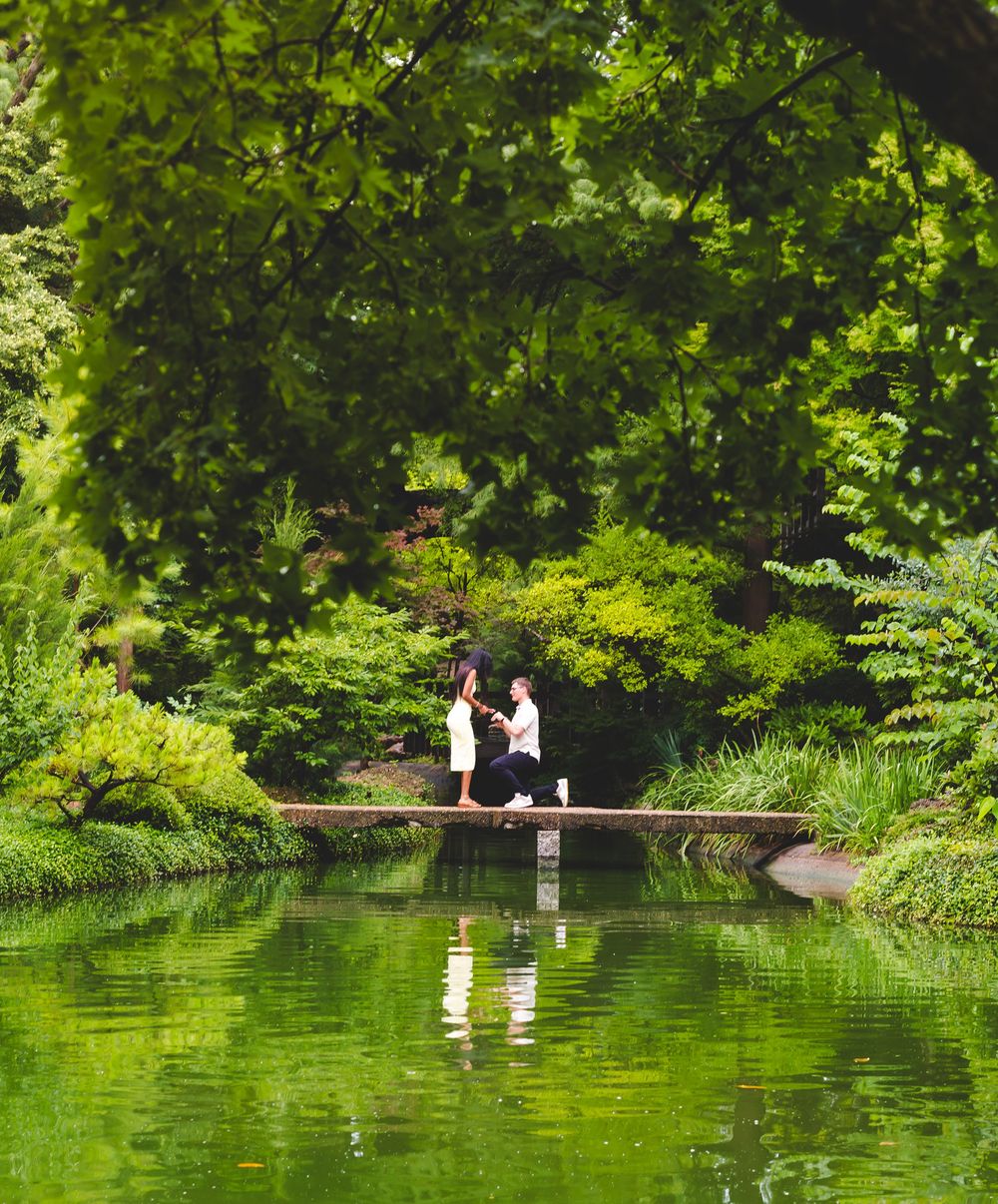 Two people sit peacefully by a serene green pond surrounded by lush summer foliage in a tranquil garden setting.