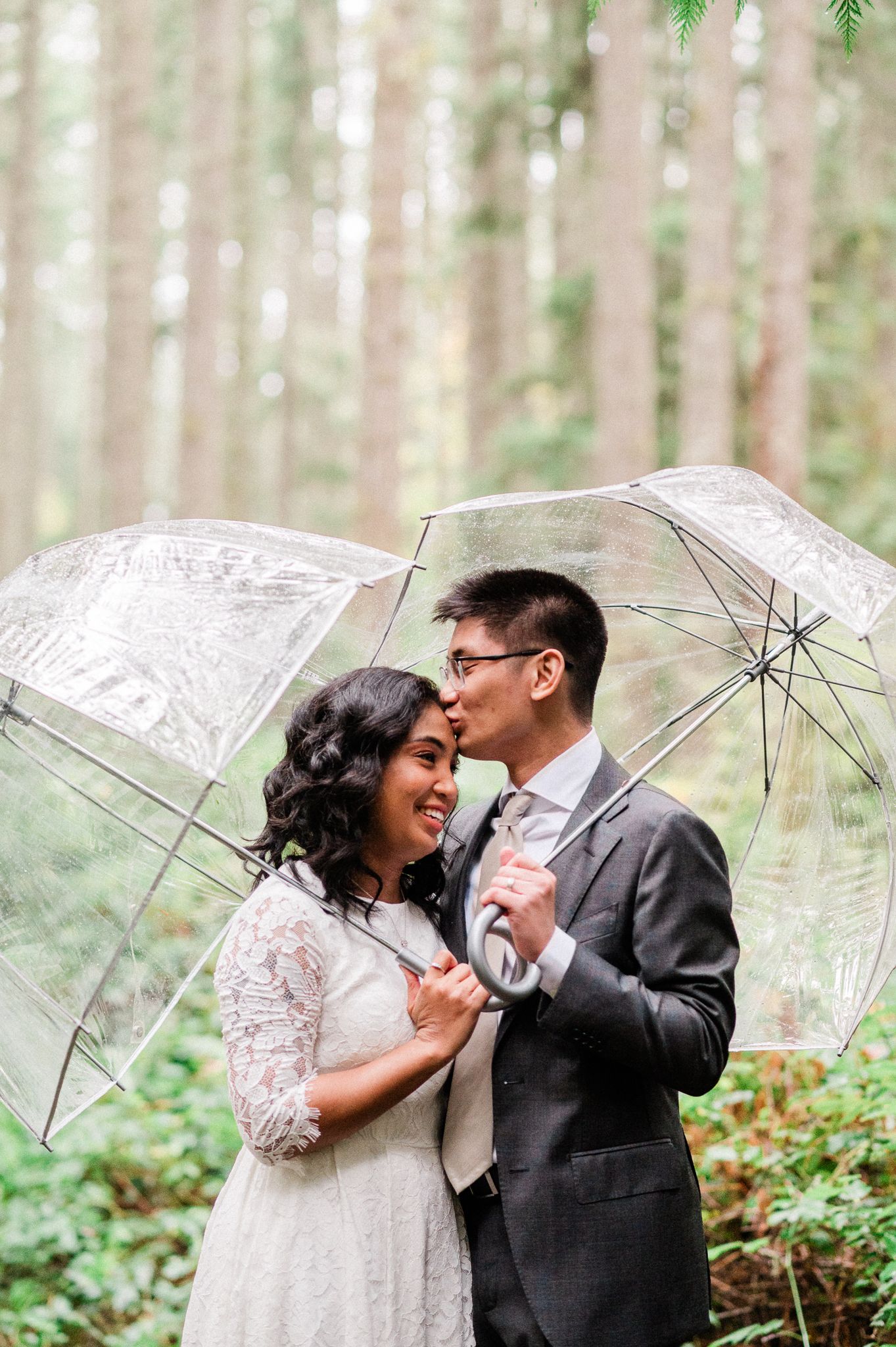 A romantic wedding couple shares intimate moments in a misty forest setting while holding clear umbrellas.