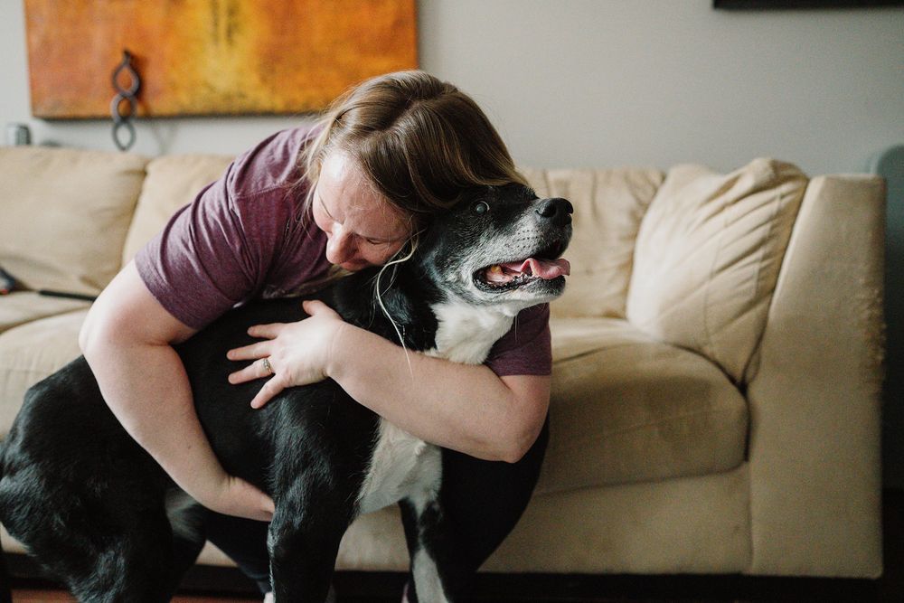 Woman in purple shirt hugging and cuddling her black and white dog near a beige couch.