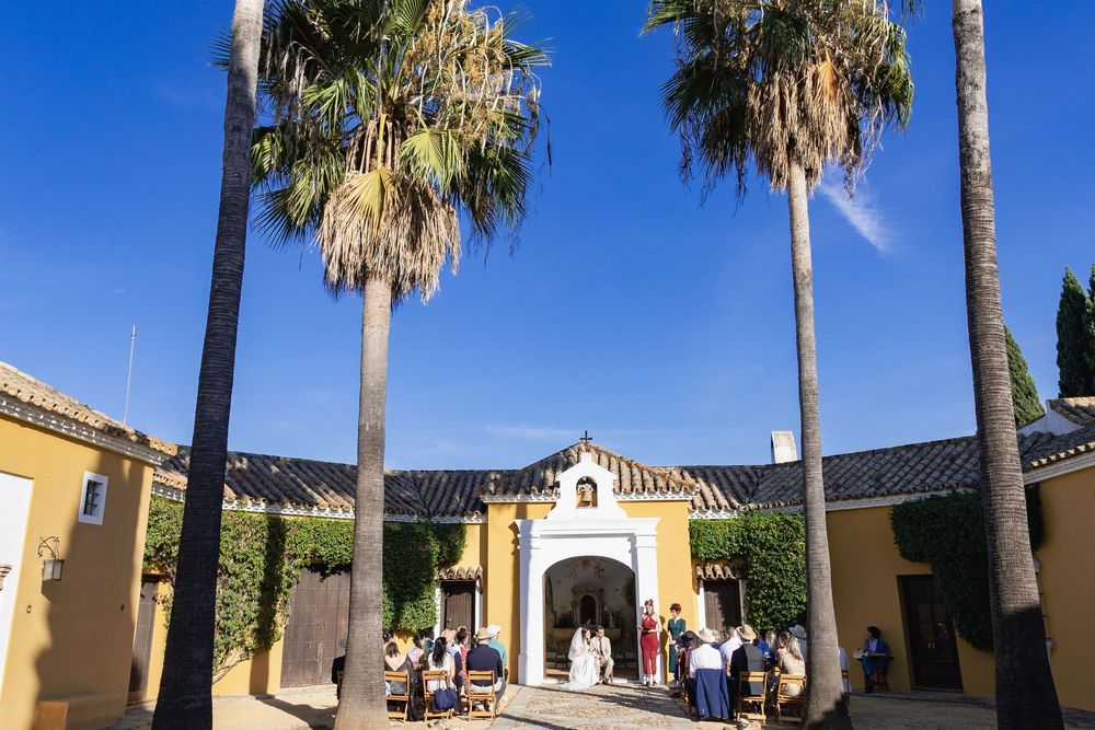 Palm trees line the exterior courtyard of a Spanish colonial style building with yellow walls and white trim.
