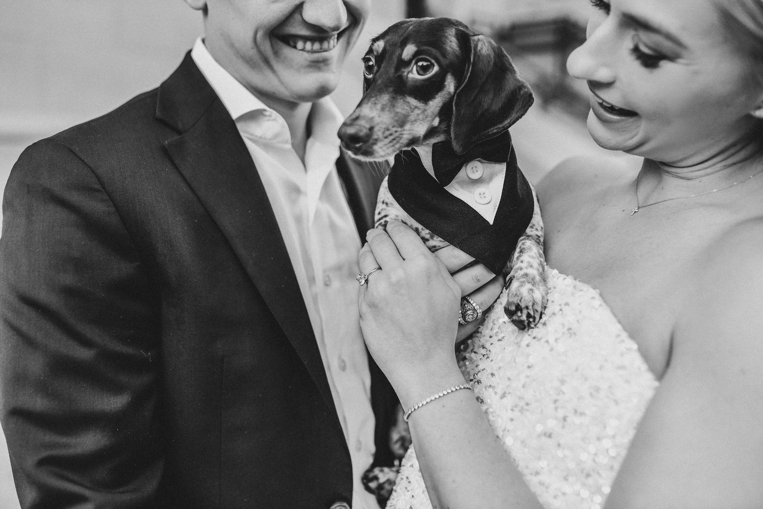 Modern editorial engagement photography in downtown Dallas with couple and dog