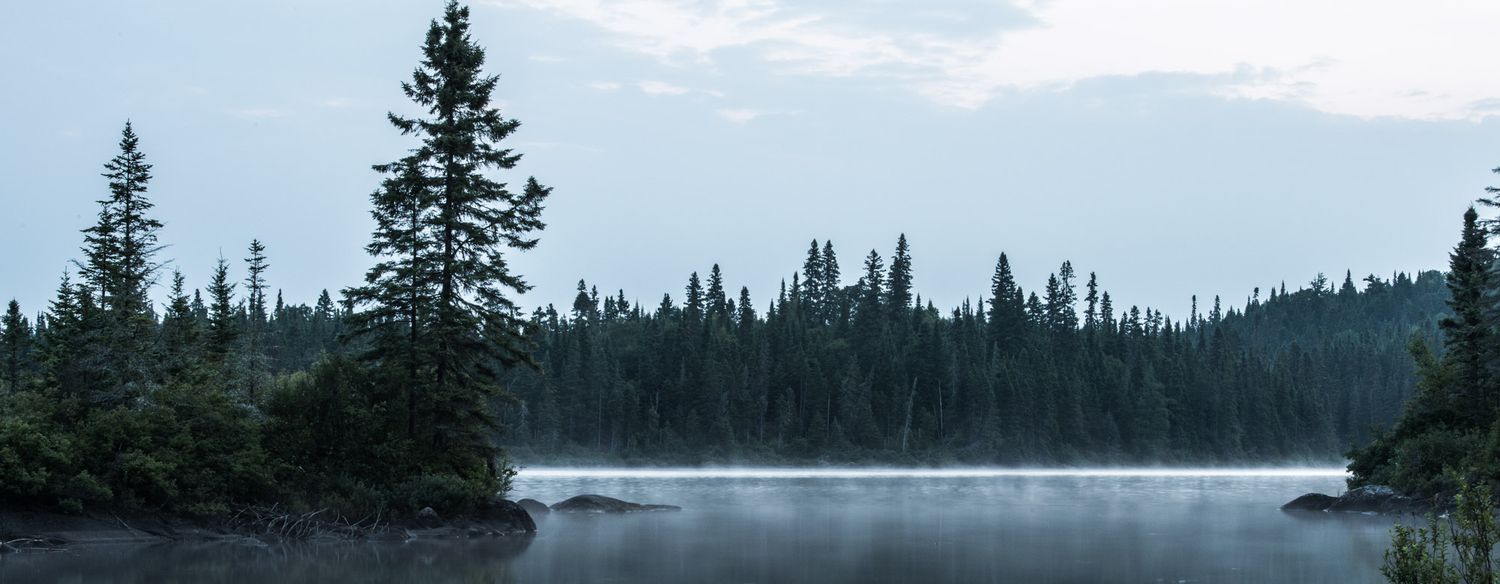 Scenic mountain landscape with evergreen forest and misty lake at sunrise.