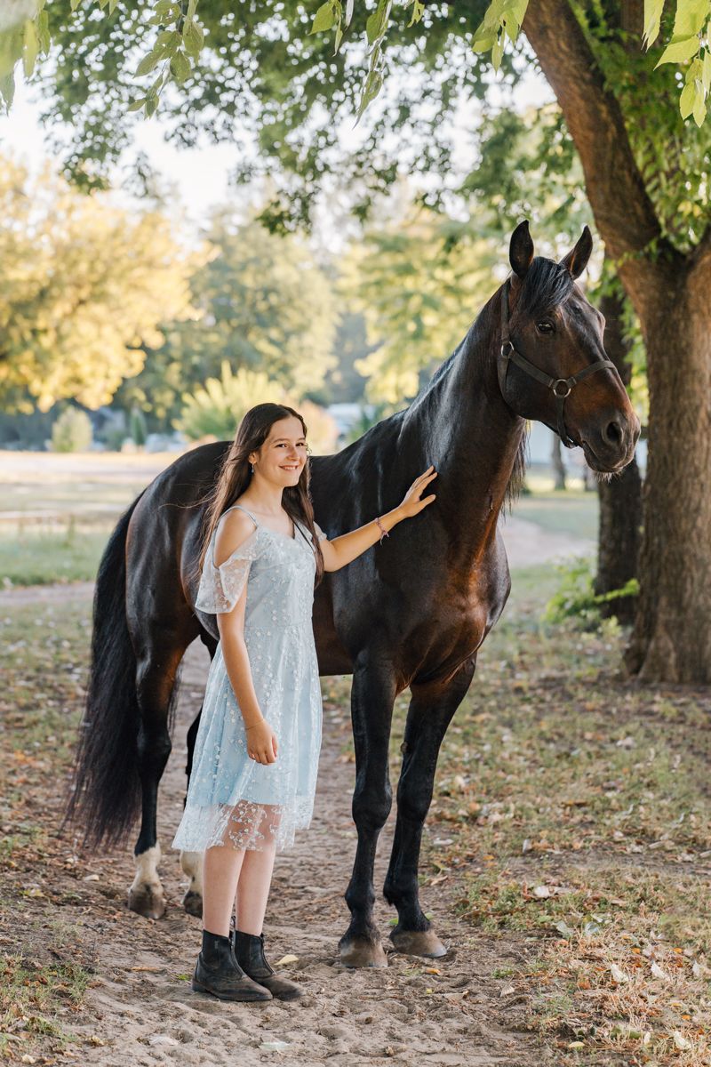 A series of photos showing a young woman in a blue dress interacting with a dark horse in a wooded outdoor setting photoshoot in Sydney