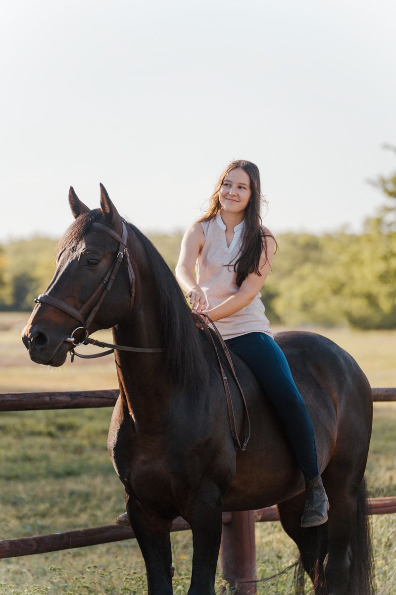 Photos showing girl riding and posing with a majestic black horse against a natural backdrop during photoshoot in Sydney