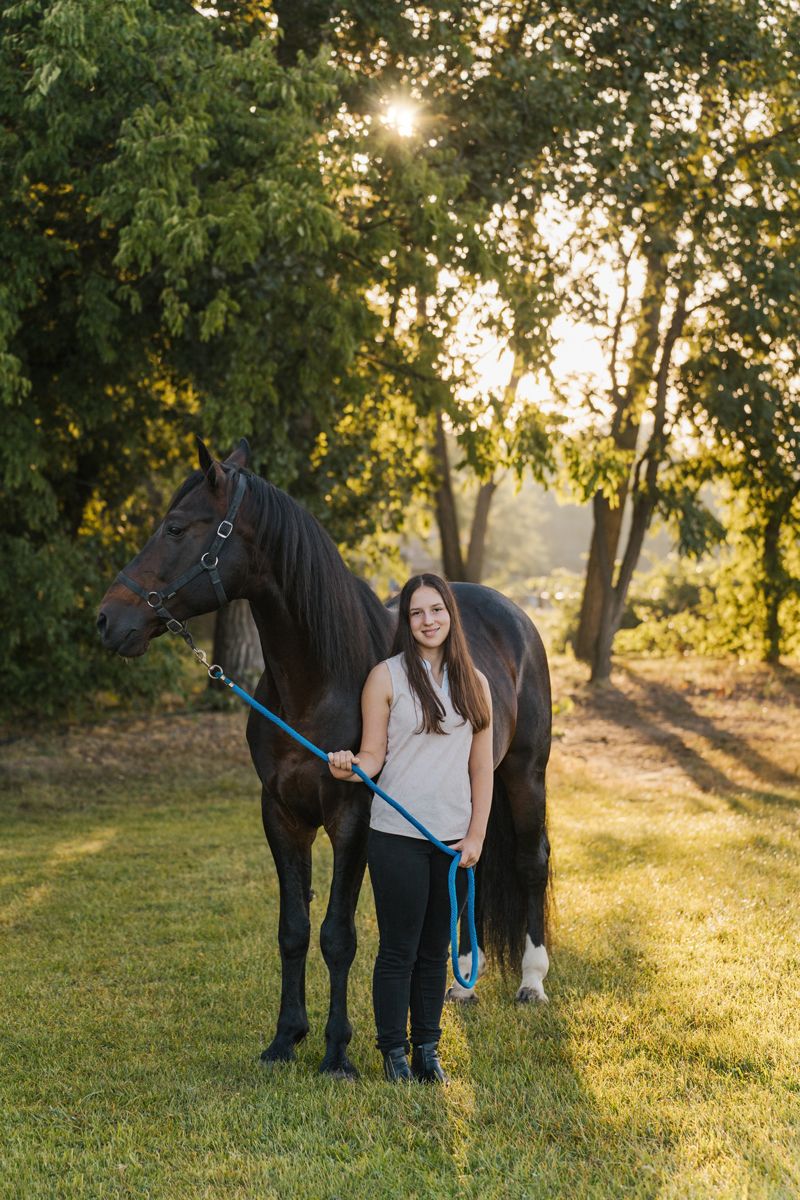 A black horse stands in a sunlit meadow at golden hour while a girl in casual attire holds its lead rope during a photoshoot in Sydney