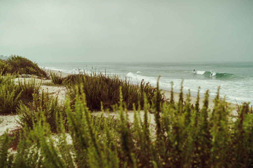 Coastal sand dunes with green vegetation overlook rolling ocean waves on a misty beach landscape.