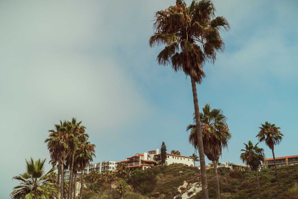 Palm trees line a coastal cliff with modern buildings and blue sky in La Jolla, California.