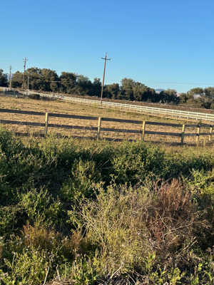 A rural fenced paddock with wooden rails and utility poles under a clear blue sky.