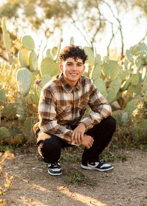 Someone in a brown plaid shirt crouches near desert cacti during sunset.