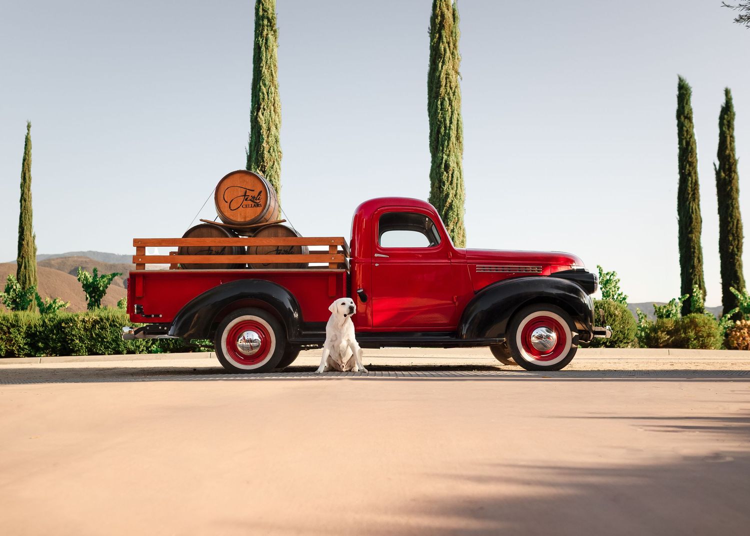 A white dog sits next to a vintage red pickup truck with wooden barrels in the bed during sunset.
