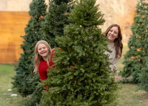 A series of candid moments captured between evergreen trees during a winter photo shoot.
