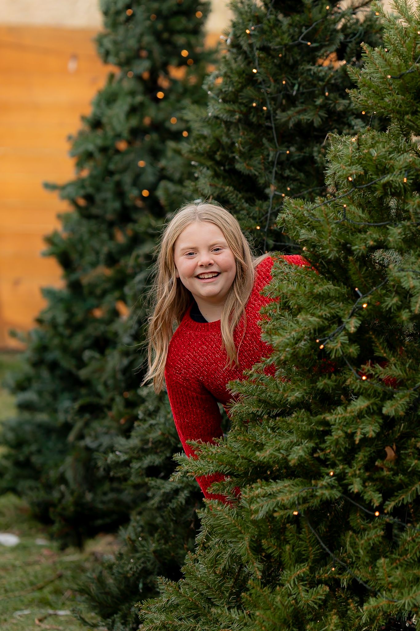 Person in red sweater peeks playfully from behind evergreen Christmas trees.