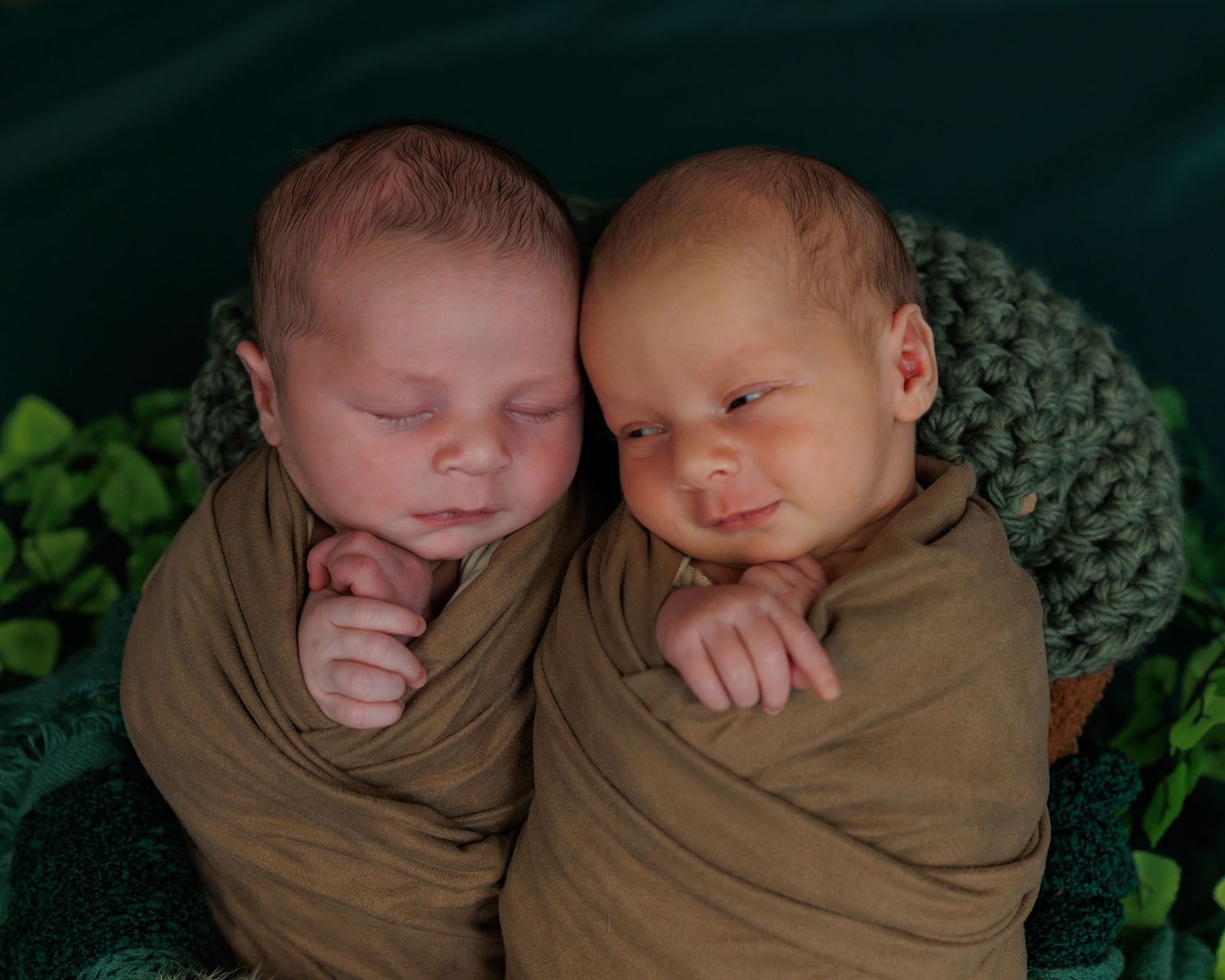 Twin newborn photography showing two babies peacefully wrapped together in a studio setting