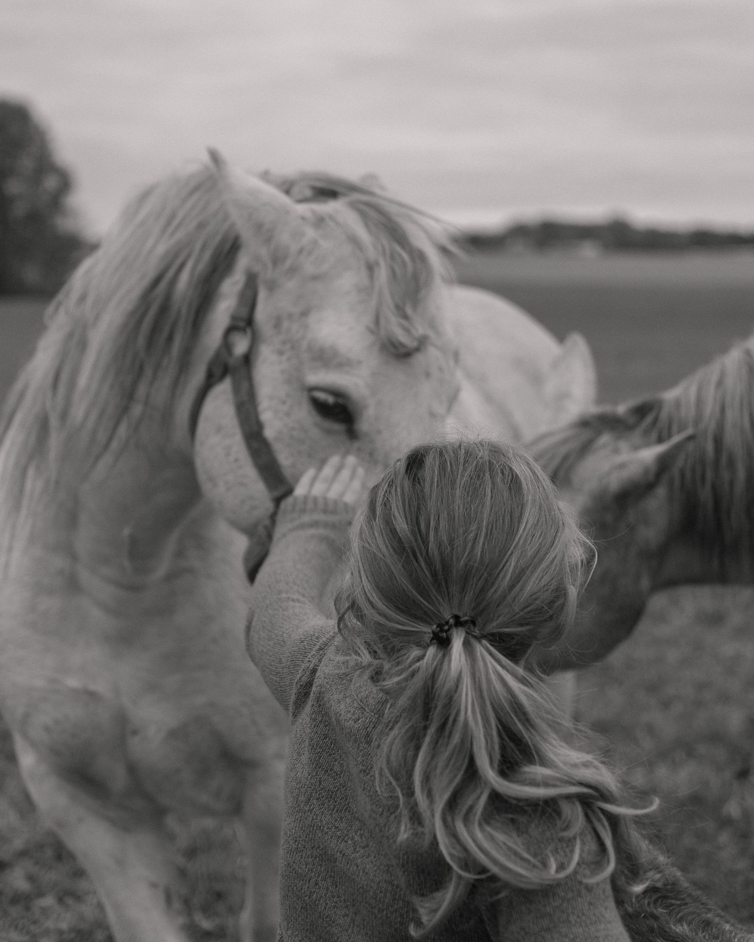 Girl petting a horse