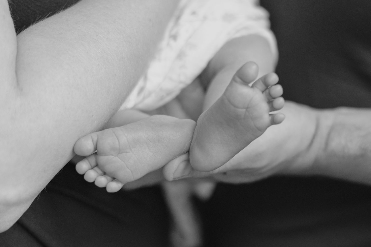A close-up black and white photograph of tiny baby feet being gently cradled in adult hands.