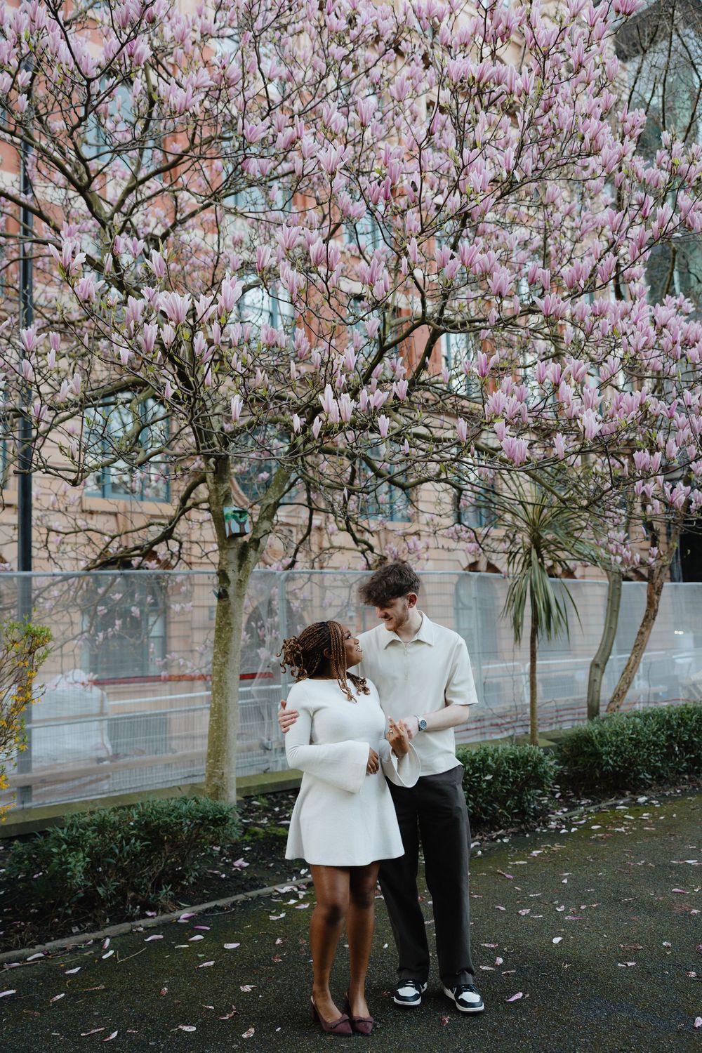 A couple shares a romantic moment under blooming pink magnolia trees in an urban garden setting.