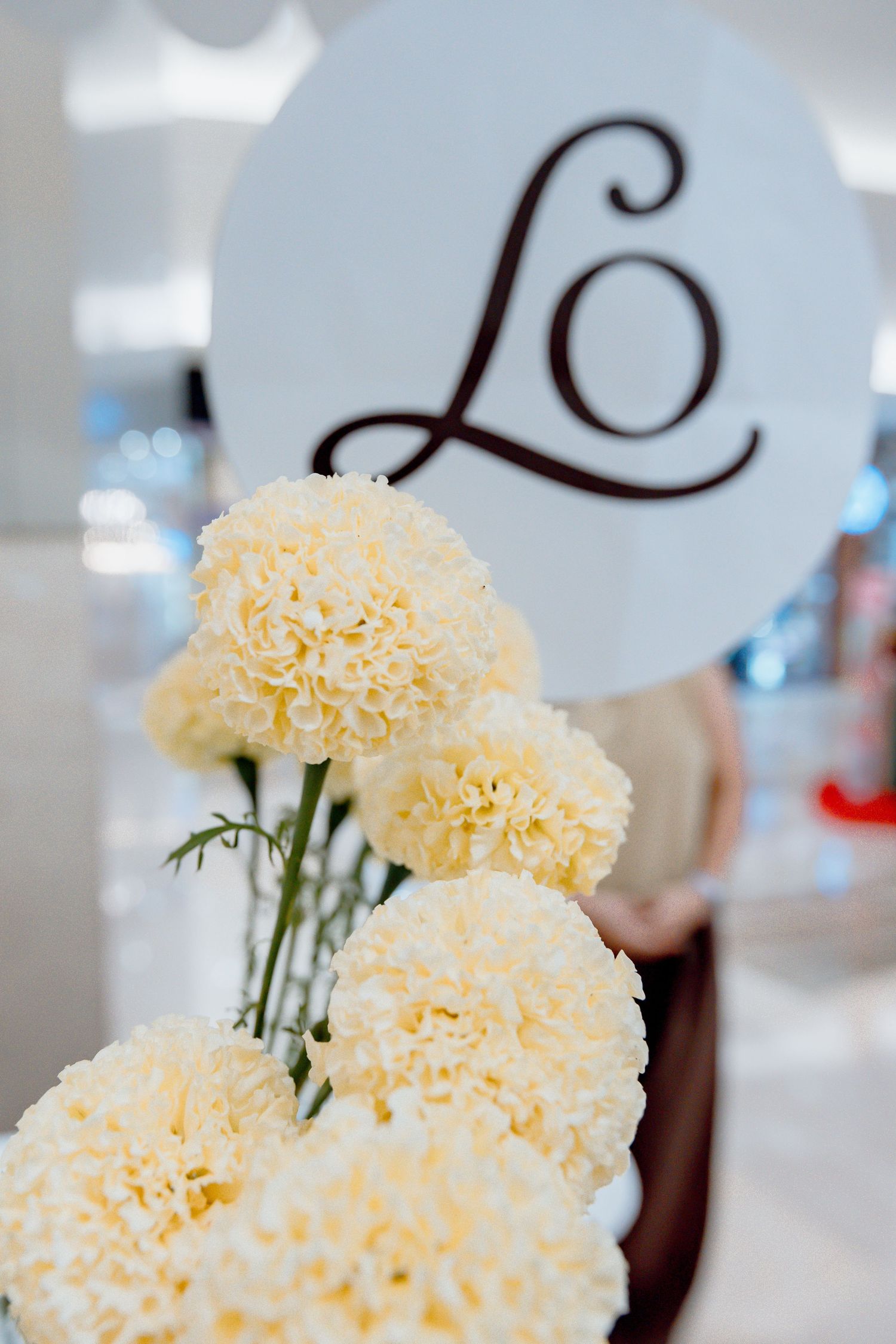 Elegant white carnation flowers in focus with a decorative circular sign featuring cursive letters in the background.