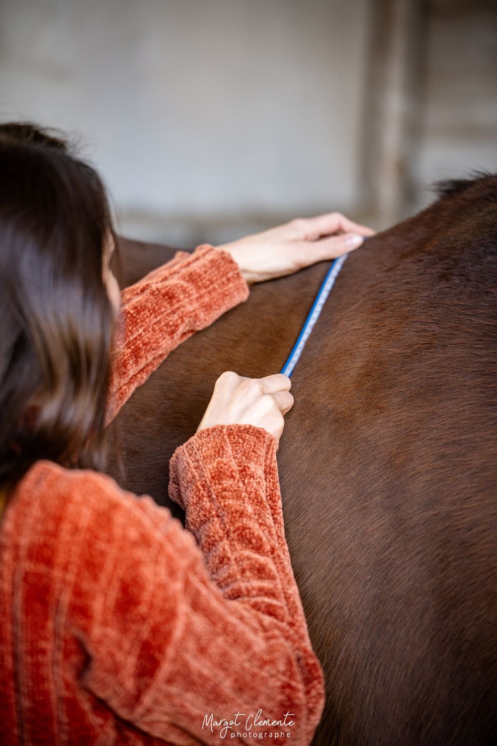 Séance photo saddle fitter Alsace