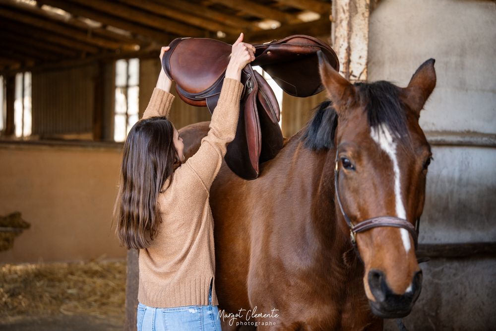 Séance photo saddle fitter Alsace