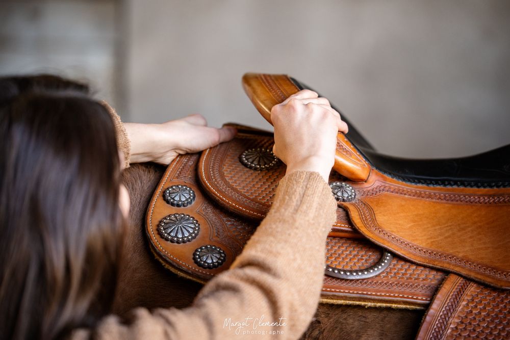 Séance photo saddle fitter Alsace