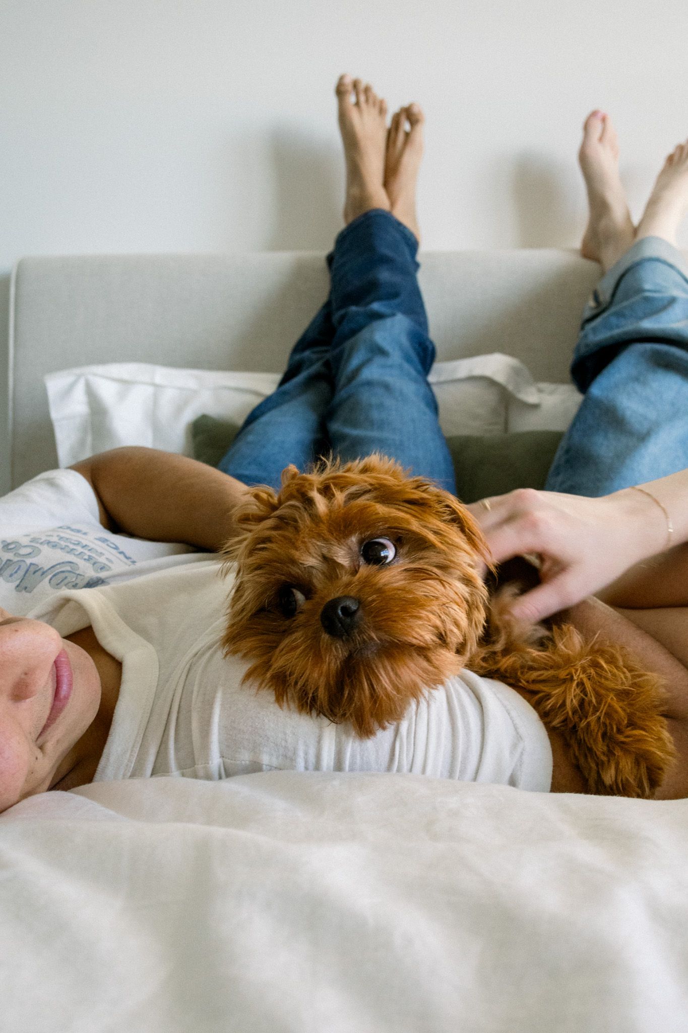 laying in bed with dog