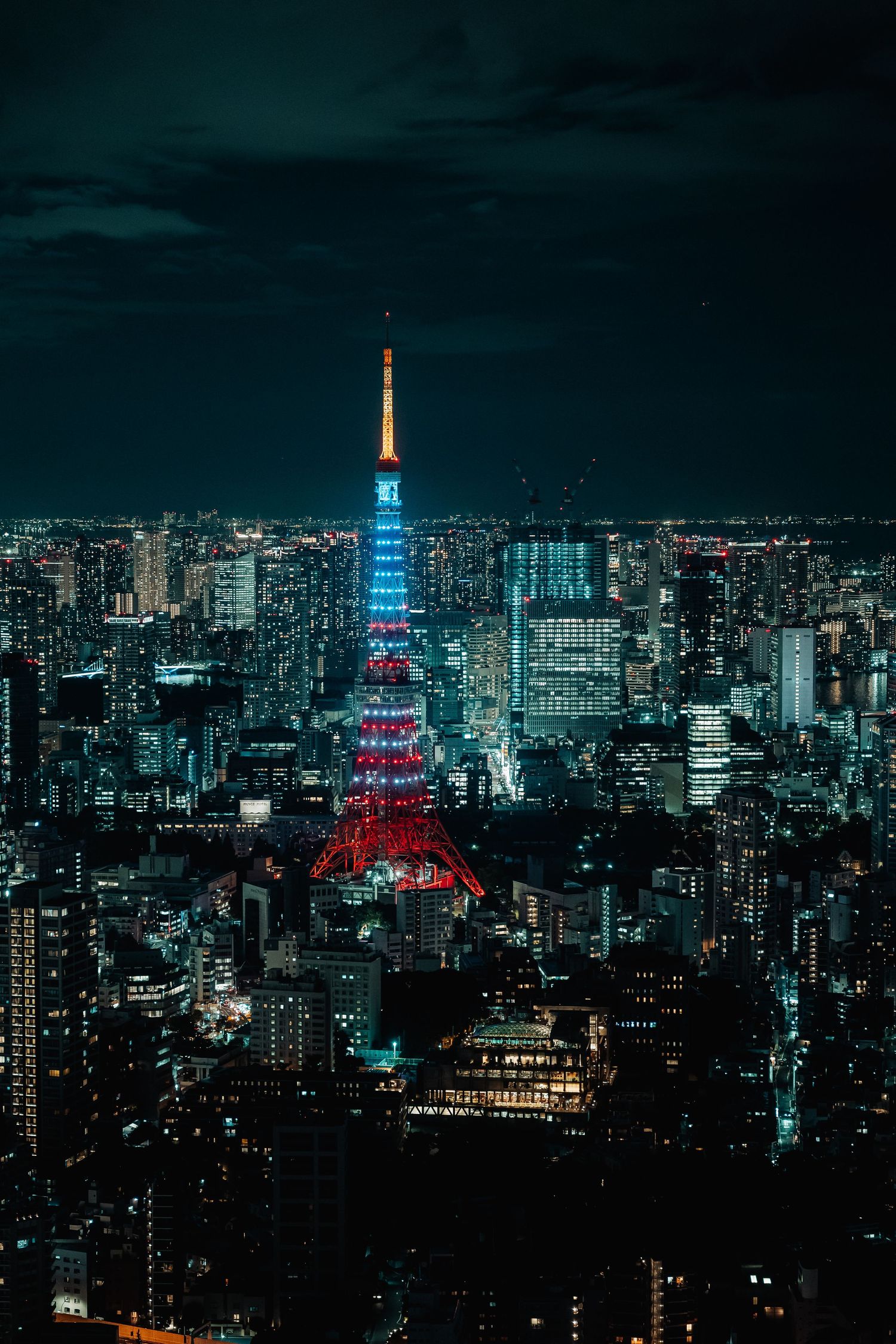 Tokyo Tower illuminated in red and blue lights dominates the glittering night skyline of Tokyo, Japan.