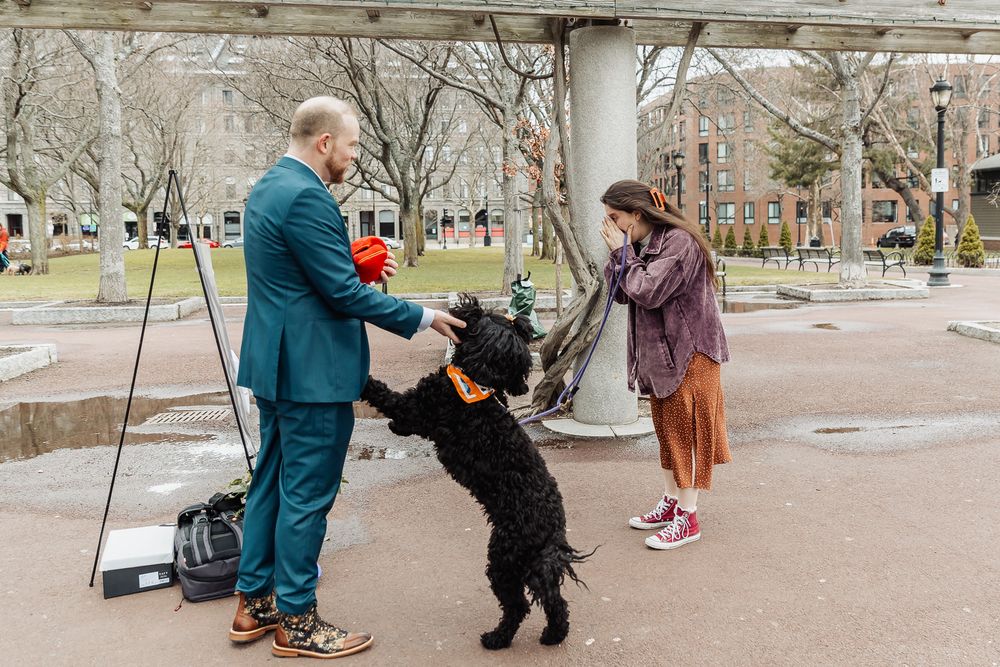 A man in a teal suit and woman interact with a black curly-haired dog standing on hind legs in an urban park.
