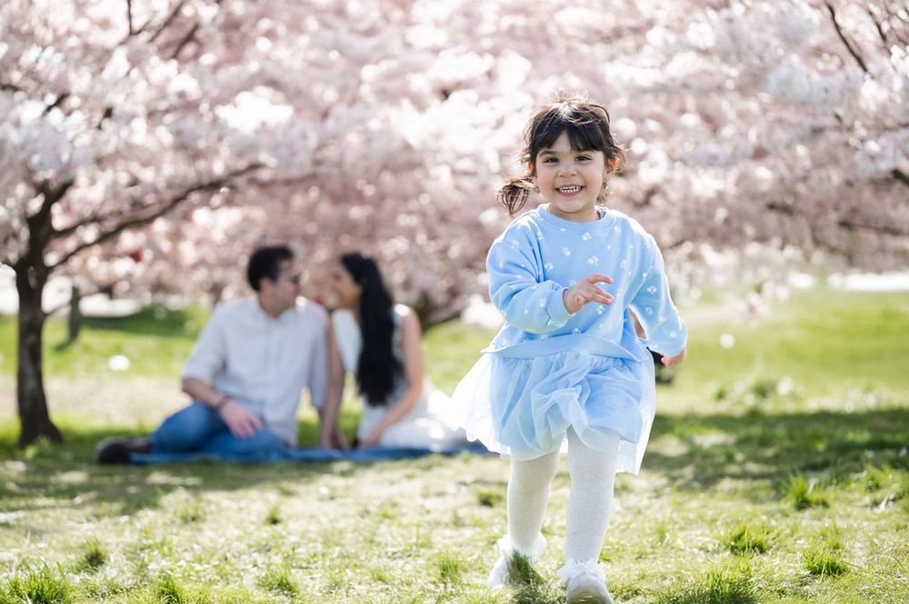 Joyful little girl in blue dress running through cherry blossom park while parents relax in background.