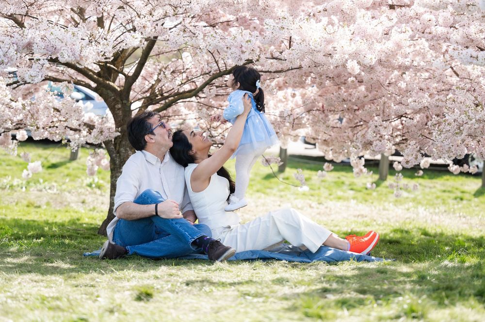 Family sitting under cherry blossom tree lifting baby in blue outfit on sunny spring day.