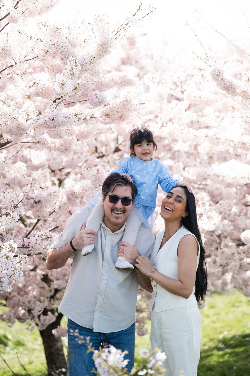 Happy family posing under blooming cherry blossom trees with child sitting on fathers shoulders.