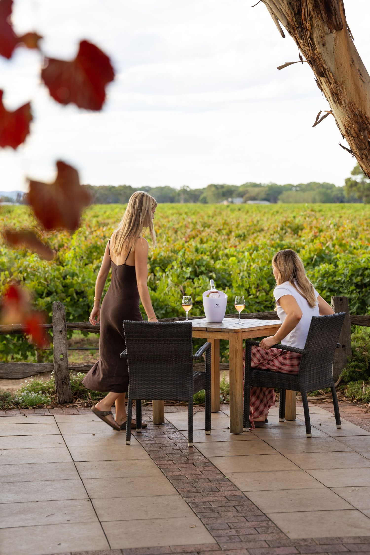 Two women relaxing at outdoor table with vineyard views in Langhorne Creek